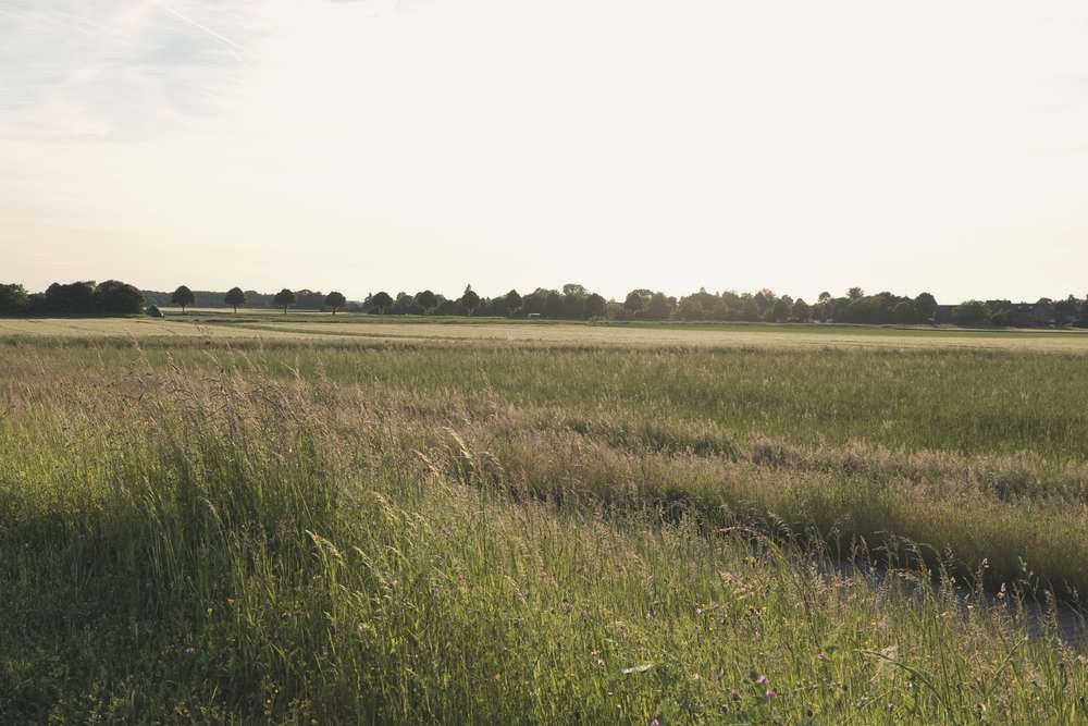 Natur direkt vor der Tür